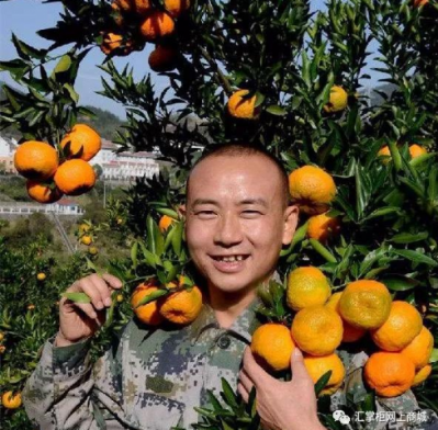 銷售200億，匯通達(dá)深化農(nóng)村服務(wù)的“互聯(lián)網(wǎng)+智慧”賦能