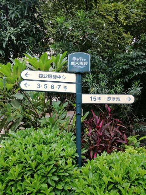 AI智能全方位助陣，拍照還會(huì)智能構(gòu)圖，充滿智慧的麥芒7上手體驗(yàn)