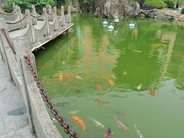 顏值與性能并存，還有AI四攝，華為麥芒7來(lái)了