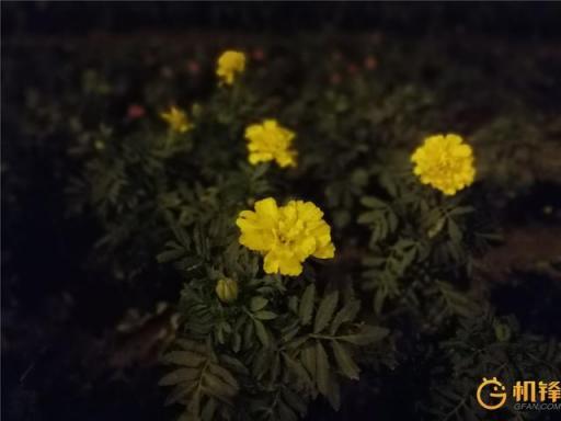 AI加持到底能帶來什么？ 華為麥芒7評測