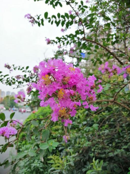 華為麥芒7首發(fā)上手評(píng)測：顏值頗為驚喜！更有驚人的Al四攝