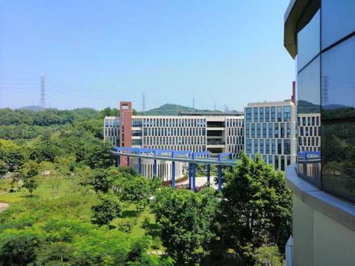 華為麥芒7評測：AI四攝，記錄年輕人的精彩生活