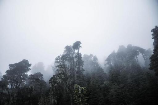 波濤？山路？風(fēng)雨兼程，麥芒無懼挑戰(zhàn)