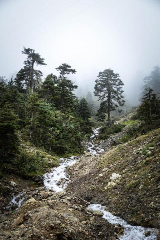 波濤？山路？風(fēng)雨兼程，麥芒無懼挑戰(zhàn)