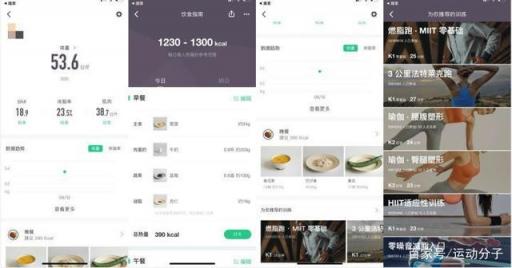 Keep 體脂秤肉身評測：顏值在線，體脂率等數(shù)據(jù)是否精準？