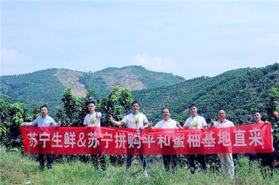 蘇寧928超級(jí)拼購(gòu)日，蜜柚單日銷量突破30萬單