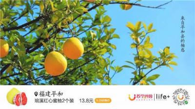 蘇寧928超級(jí)拼購(gòu)日，蜜柚單日銷量突破30萬單