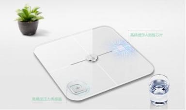 測(cè)的參數(shù)越多越好嗎？聯(lián)想體脂秤對(duì)比小米/榮耀體脂秤