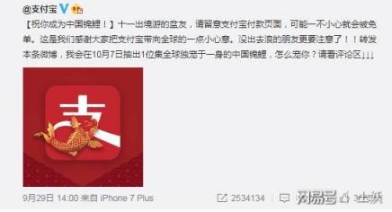 中國錦鯉“信小呆”是內定？鬧烏龍是因為不了解這些域名常識