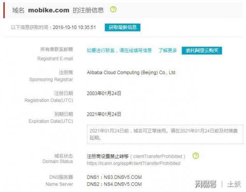 中國錦鯉“信小呆”是內定？鬧烏龍是因為不了解這些域名常識