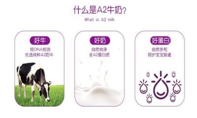 澳洲A2奶粉和荷蘭牛欄奶粉哪個好？兩款奶粉有什么區(qū)別？