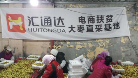 采購(gòu)量50萬斤起，匯通達(dá)山東大棗農(nóng)產(chǎn)品上行單位以縣計(jì)