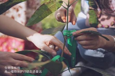 惠益共享，植物醫(yī)生高山植物“公益鏈”