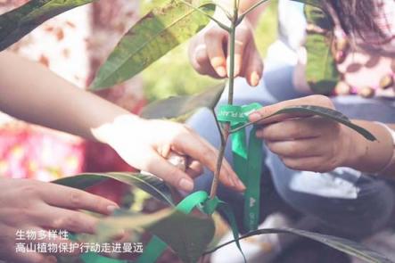 民族品牌DRPLANT植物醫(yī)生，生態(tài)供血科技起搏