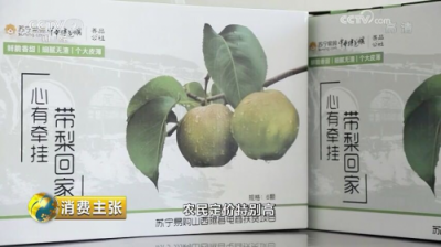 央視點贊蘇寧精準扶貧 多措并舉助力鄉(xiāng)村振興