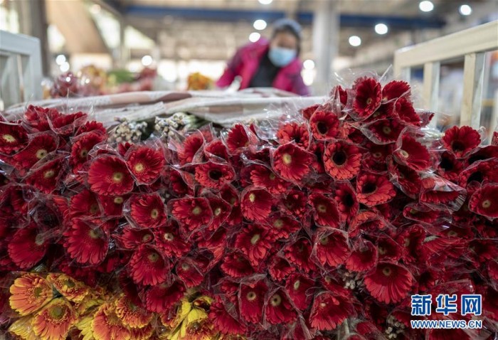 愛心助農(nóng)，花加FLOWERPLUS的暖心之策