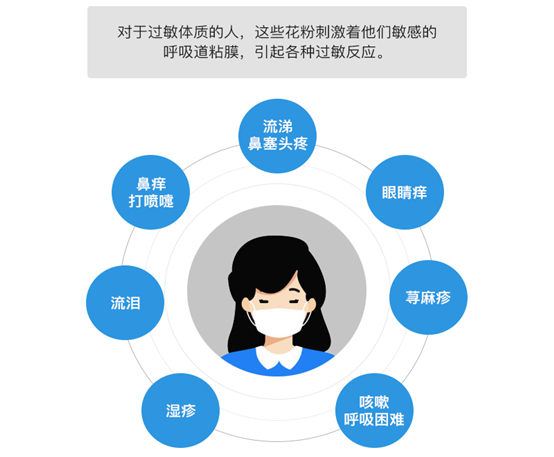 楊柳絮泛濫引發(fā)過敏癥，IAM空氣凈化器助你遠離過敏“元兇”