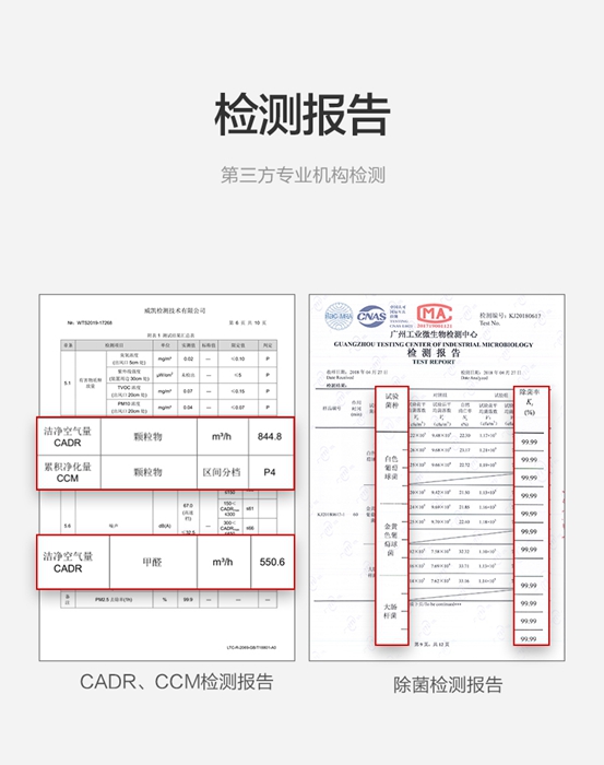 楊柳絮泛濫引發(fā)過敏癥，IAM空氣凈化器助你遠離過敏“元兇”