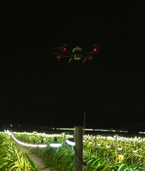 智慧春耕：農業(yè)無人機實現(xiàn)夜間水稻直播、果樹植保