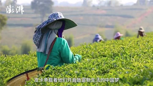 致力打贏脫貧攻堅戰(zhàn)，長城皮卡攜手澎湃新聞啟動“物產(chǎn)中國”