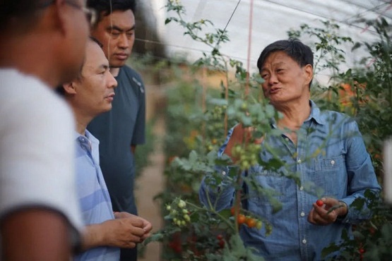 中和農(nóng)信：管種管收管賣，讓種植戶“省點心”