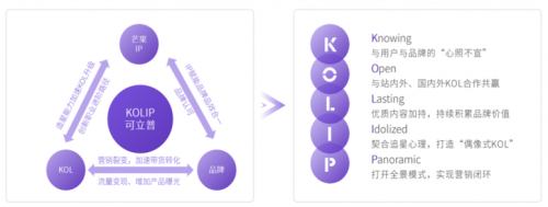 2020 KOL營(yíng)銷洞察報(bào)告：可立普模式能否成為KOL營(yíng)銷神器？