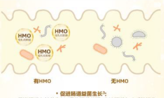 合生元HMO配方奶粉三大強(qiáng)化配方組合，建造更穩(wěn)定的成長(zhǎng)壁壘