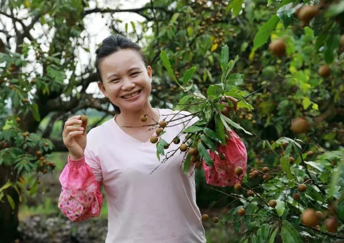 西瓜視頻的“現(xiàn)代魯班”阿木爺爺，是如何走紅海內(nèi)外的？