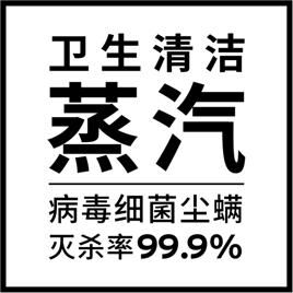 【最新消息】LAURASTAR 專有技術DMS 超細膩干蒸汽可以消滅99.9%的新冠病毒