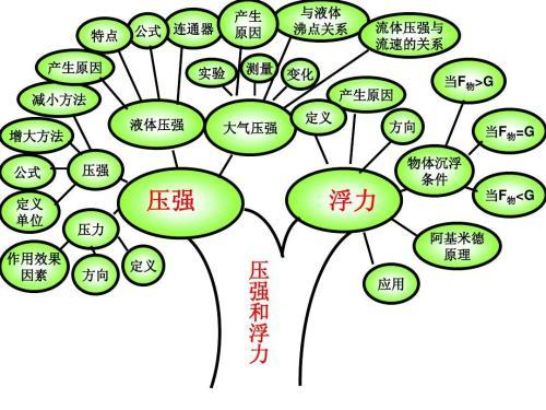 中考學(xué)霸怎樣煉成？“學(xué)習力”才是關(guān)鍵