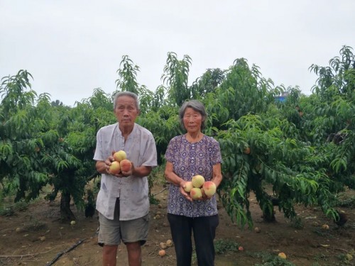 美菜網(wǎng)志愿者回鄉(xiāng)助農(nóng)，助力鄉(xiāng)村振興