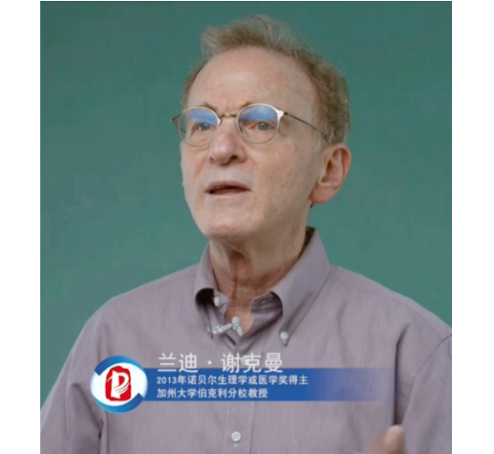 2020中關(guān)村論壇開(kāi)幕，全球科技領(lǐng)袖匯聚，給出關(guān)于未來(lái)的“參考”答案