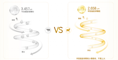 羊奶粉好還是牛奶粉好？寶媽親證適合寶寶的才是最好的