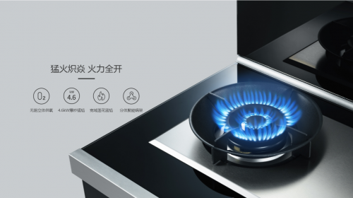 集成灶十大排行榜，集成灶哪個(gè)品牌好？?jī)?yōu)質(zhì)品牌推薦！