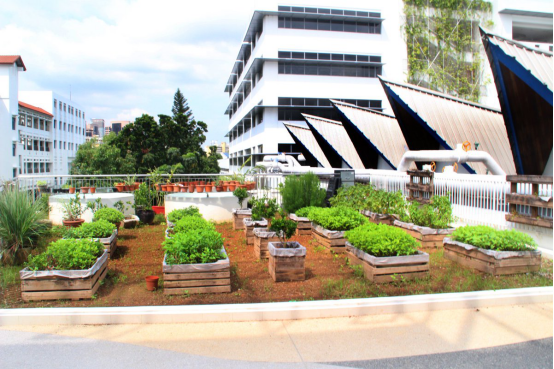 萬物可持續(xù)，共建綠色地球家園