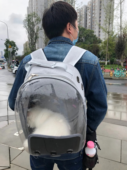 抖inCity進(jìn)階的兩年，一場(chǎng)人與城的奇妙之旅