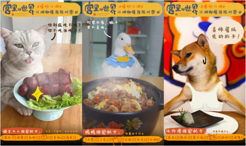 用味蕾打開“宮里的世界”，《爆炒江湖》全新聯(lián)動版本上線