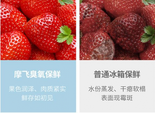 摩飛又出新品了！這款冰箱除味神器必火