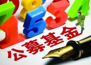 嘉實(shí)基金多只產(chǎn)品凈值翻倍，公募基金長期賺錢效應(yīng)凸顯