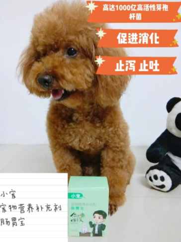 養(yǎng)寵家中常備 小寵腸胃寶寵物益生菌