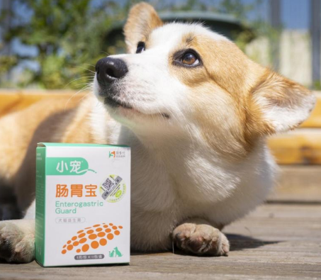 寵物益生菌什么牌子好？看專業(yè)寵物益生菌領頭者小寵腸胃寶