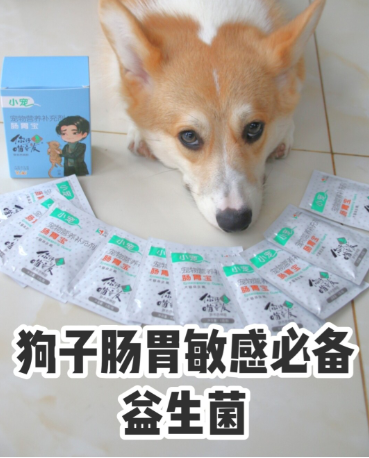 柯基腸胃守護(hù)者 我的小寵腸胃寶