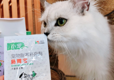 為什么選擇小寵腸胃寶？小寵腸胃寶這3點(diǎn)吸引了我