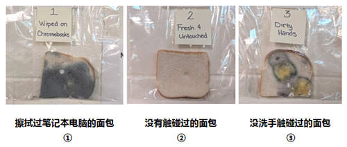 寒冬有艾詩摩爾掌中衛(wèi)士護(hù)手儀，為健康護(hù)航無懼手傷！