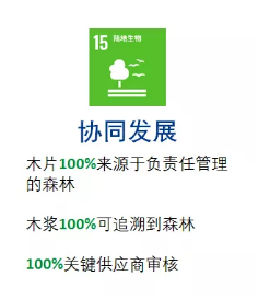 亞太森博發(fā)布2030可持續(xù)發(fā)展目標(biāo)，未來十年堅(jiān)持與綠色同行