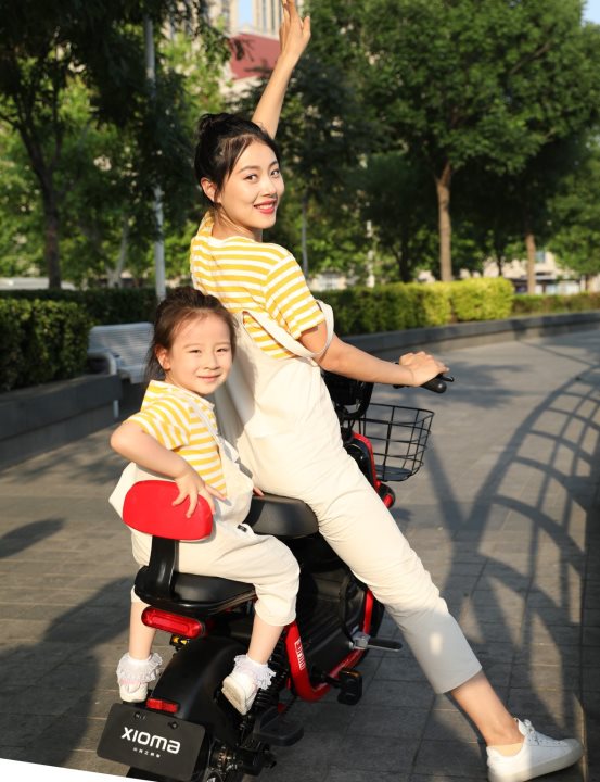 2020年兩輪電動(dòng)車銷量排行大揭秘！