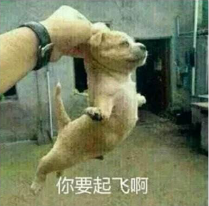 成人線上興趣班成新亮點，在線教育行業(yè)全面開花