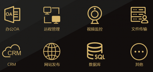 沒(méi)有公網(wǎng)IP，遠(yuǎn)程訪問(wèn)ERP/NAS/數(shù)據(jù)庫(kù)，助力疫情防控遠(yuǎn)程辦公！
