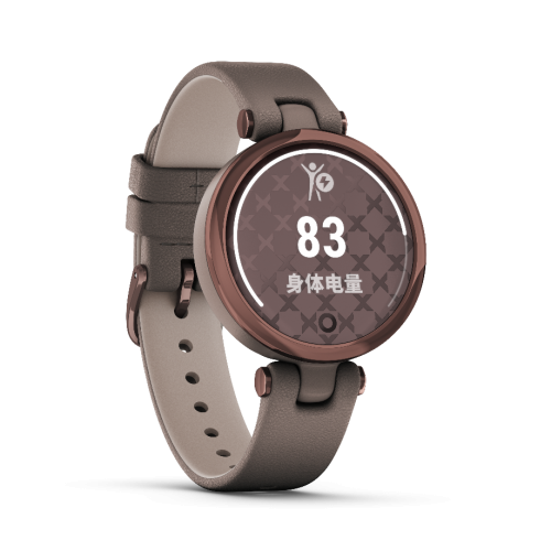 Garmin佳明布局女性市場，攜新品Lily優(yōu)雅腕表上市