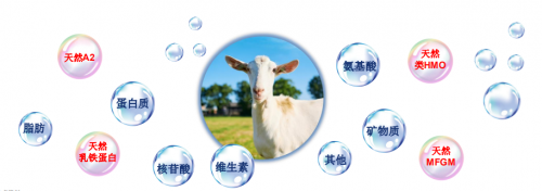 嬰兒奶粉排行榜十強，佳貝艾特再入圍盡顯大牌風范